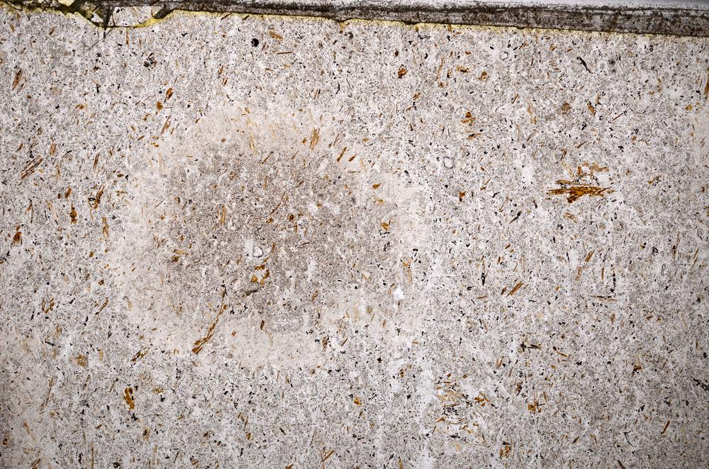 Plane Polarized, E54140/B