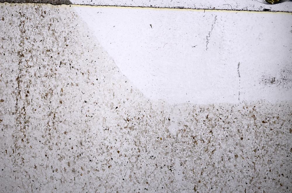 Plane Polarized, E54153