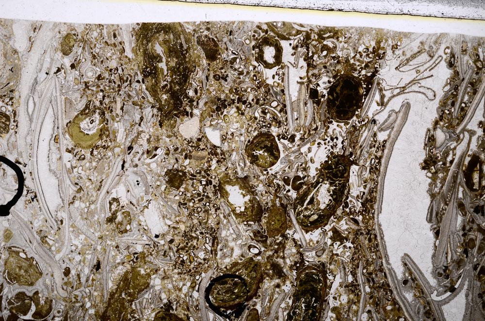 Plane Polarized, E54158/A