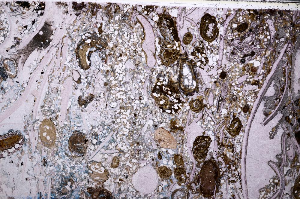 Plane Polarized, E54158/B