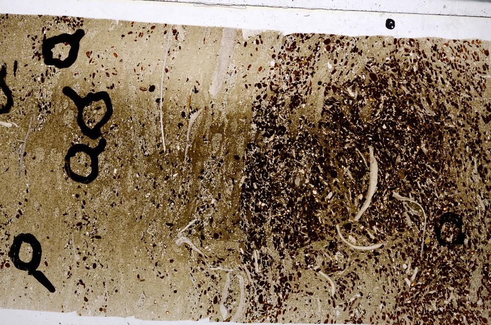 Plane Polarized, E54161