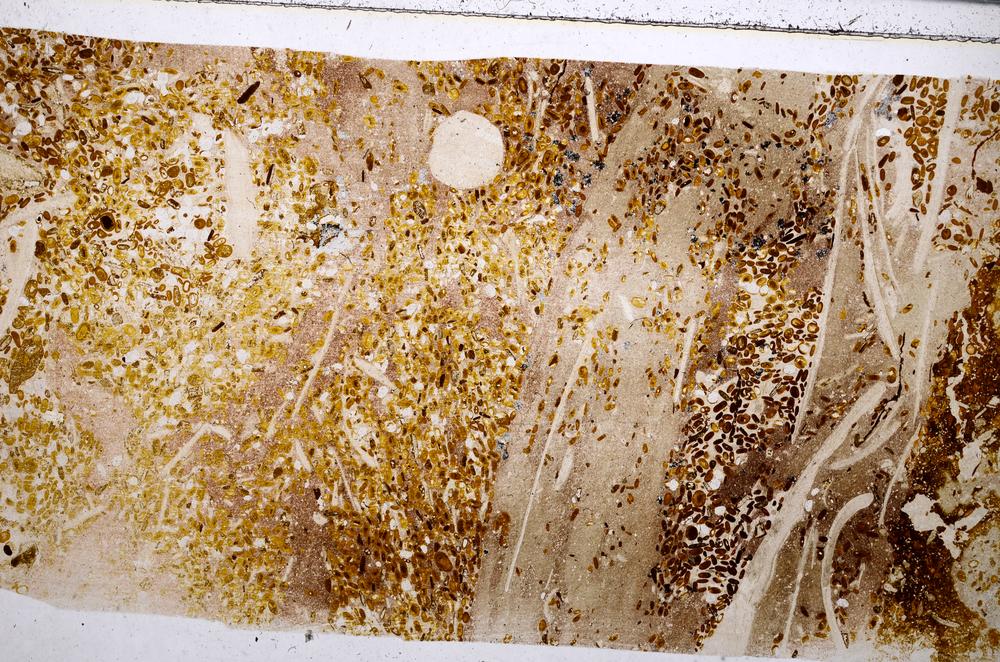 Plane Polarized, E54162