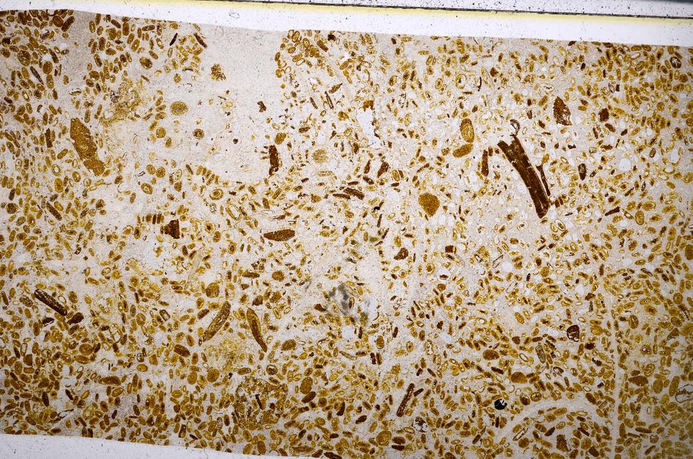 Plane Polarized, E54178