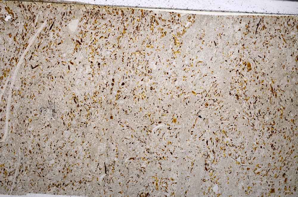 Plane Polarized, E54181