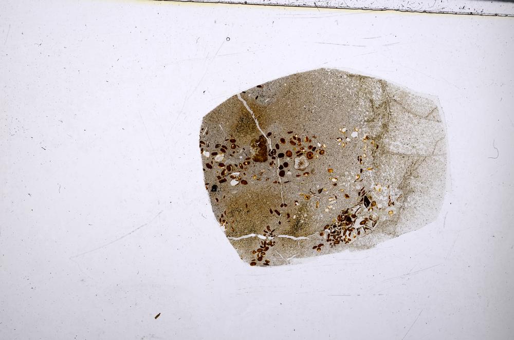 Plane Polarized, E54185