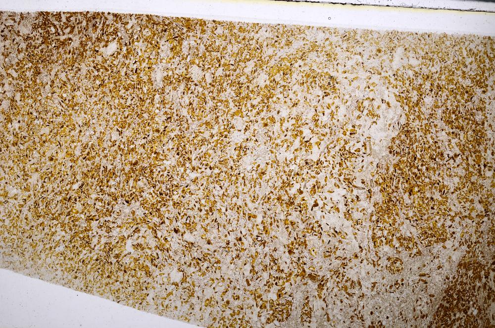 Plane Polarized, E54187/A