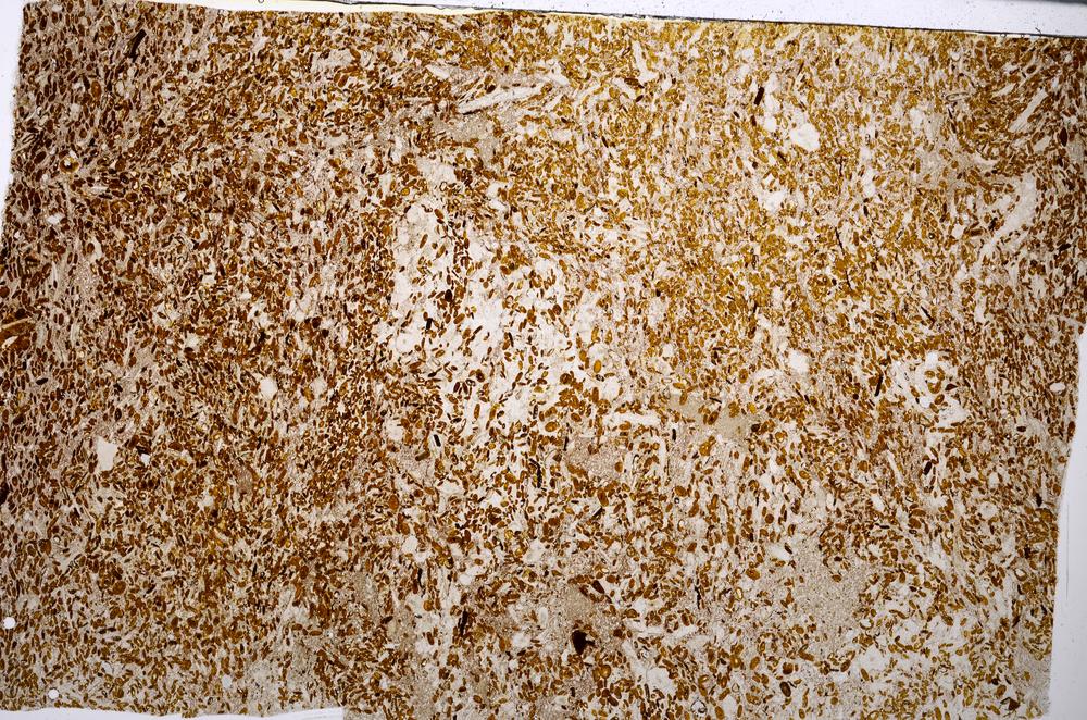 Plane Polarized, E54187/B