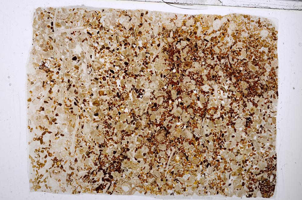 Plane Polarized, E54193/B