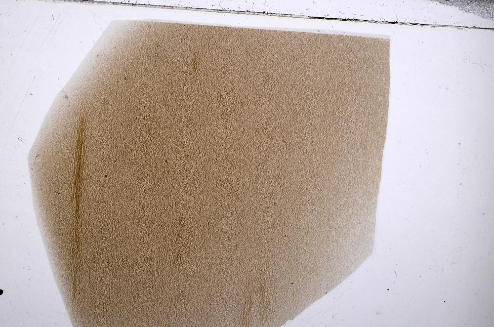 Plane Polarized, E54195