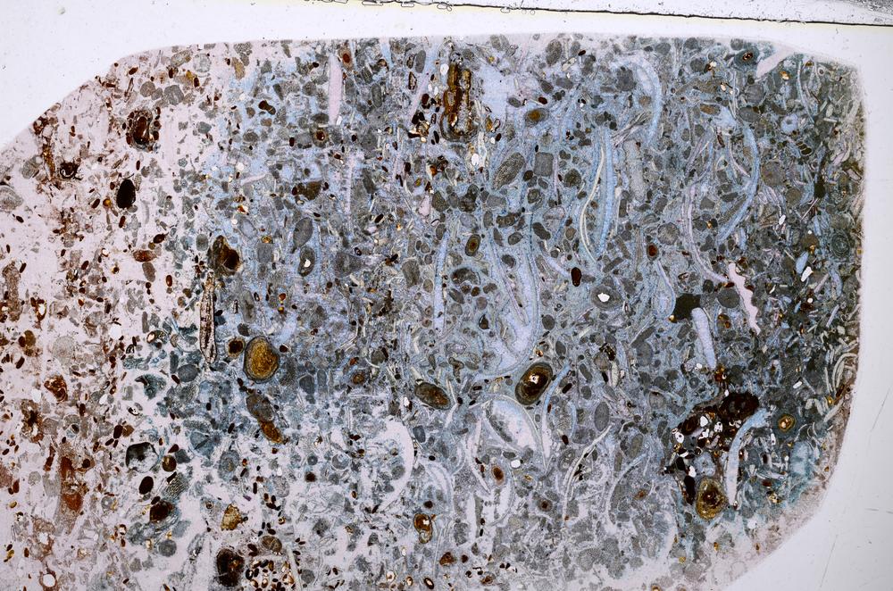 Plane Polarized, E54196/A