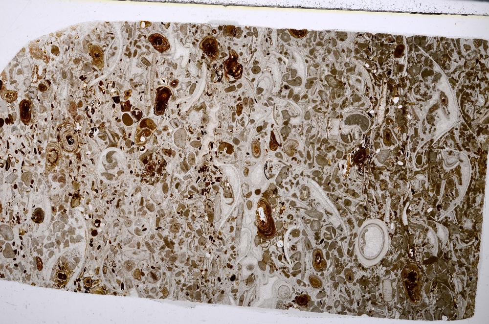 Plane Polarized, E54196/C