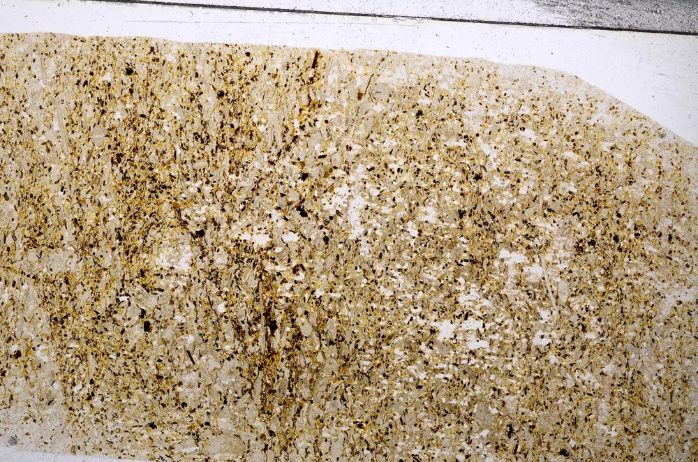 Plane Polarized, E54204