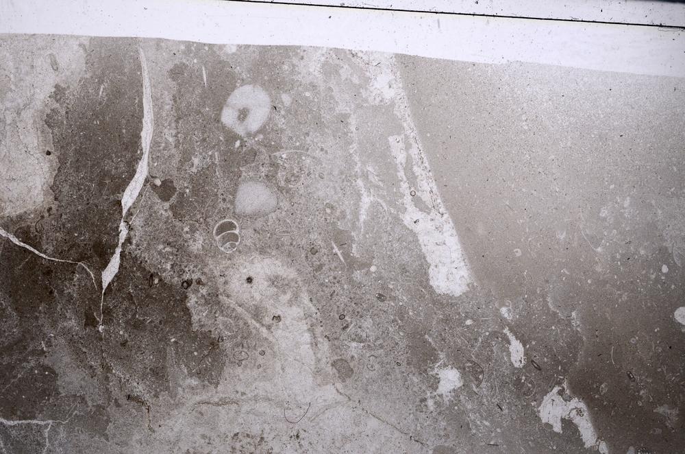 Plane Polarized, E54214