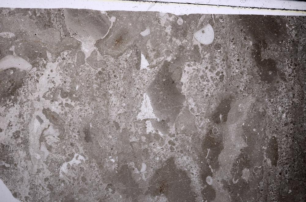 Plane Polarized, E54215