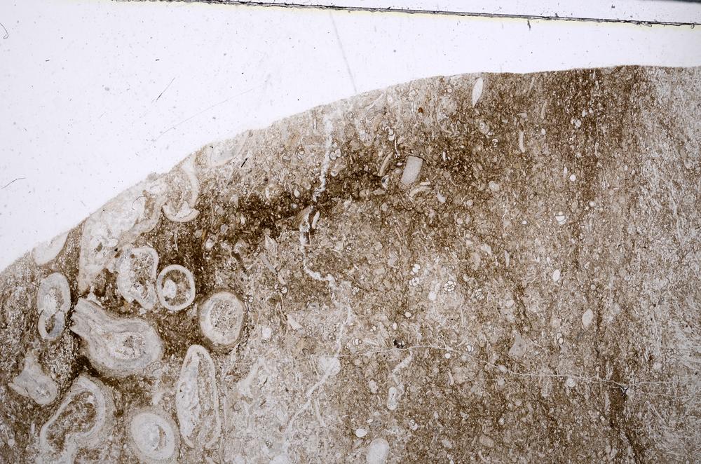 Plane Polarized, E54216