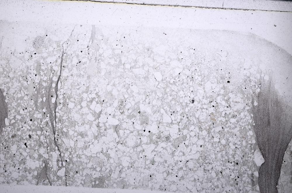 Plane Polarized, E54339