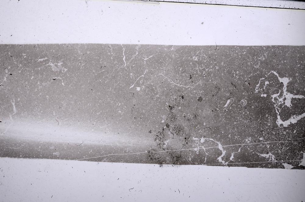 Plane Polarized, E54412