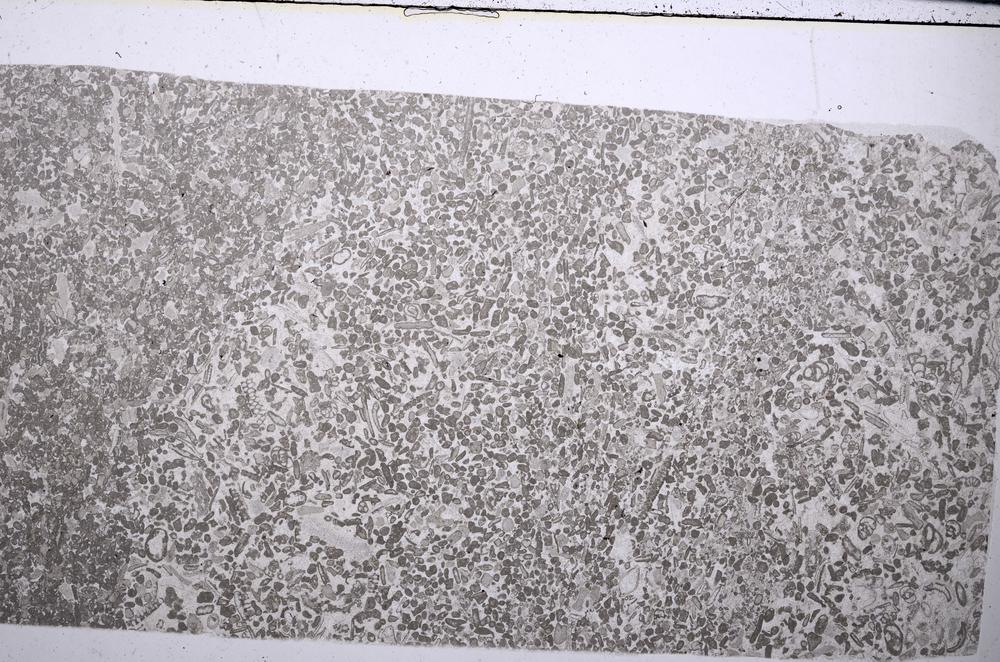 Plane Polarized, E54417