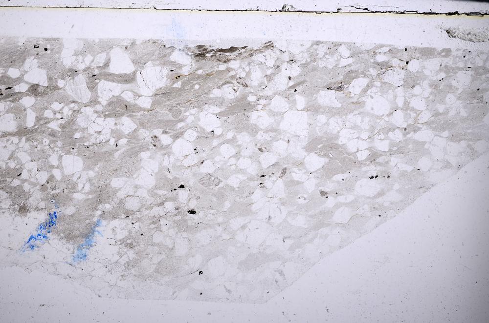 Plane Polarized, E54429