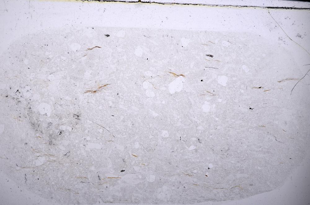 Plane Polarized, E54437