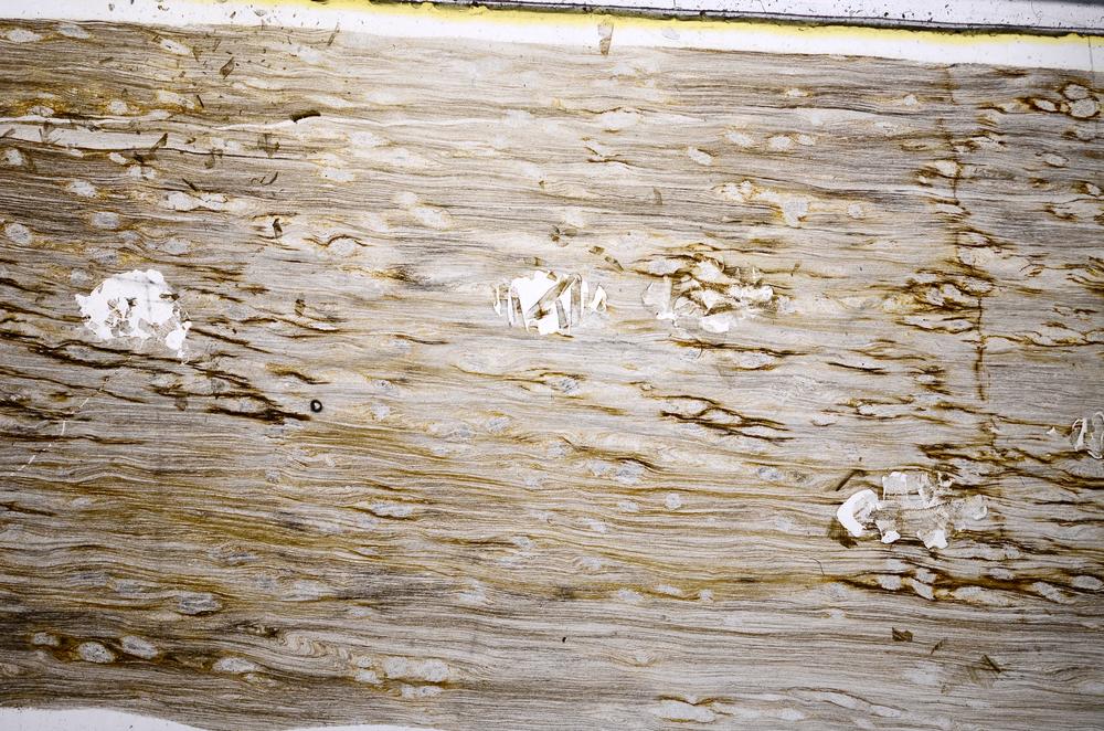 Plane Polarized, E54527/B