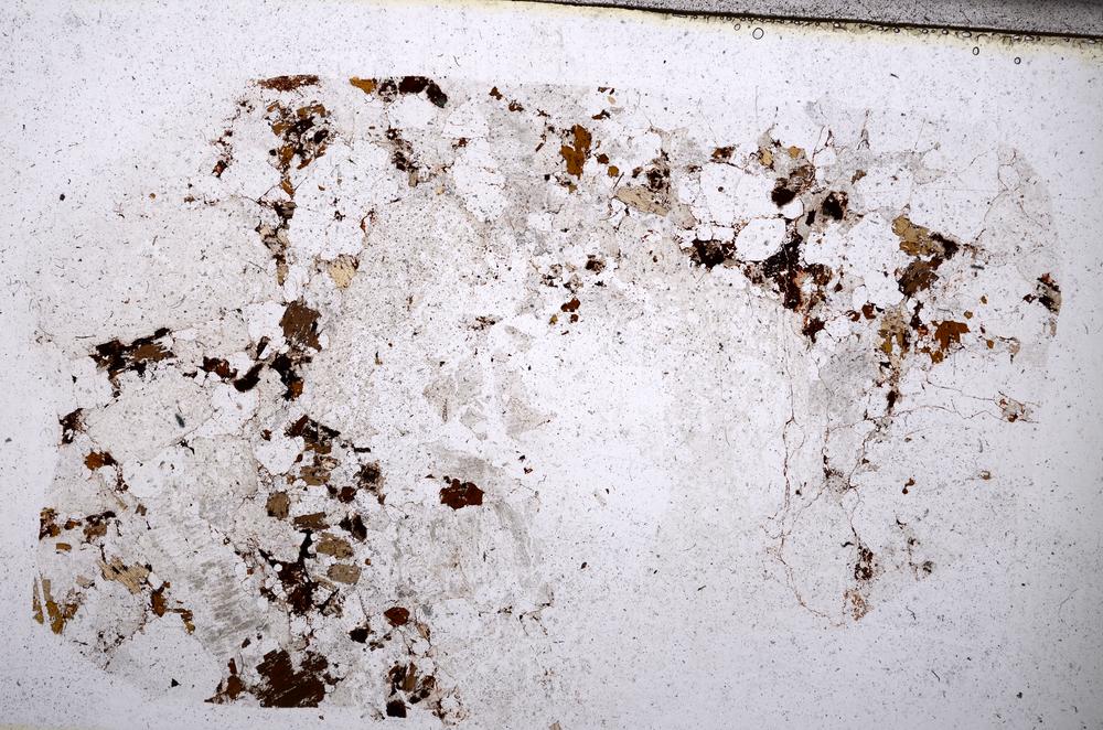 Plane Polarized, E54629/A