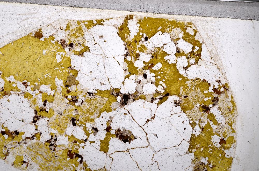 Plane Polarized, E54629/B