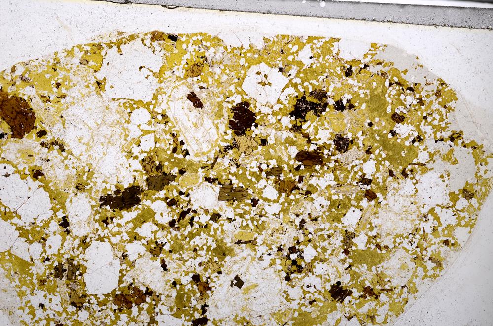 Plane Polarized, E54630/B