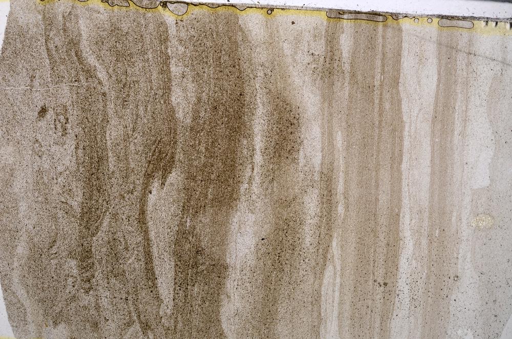 Plane Polarized, E54728