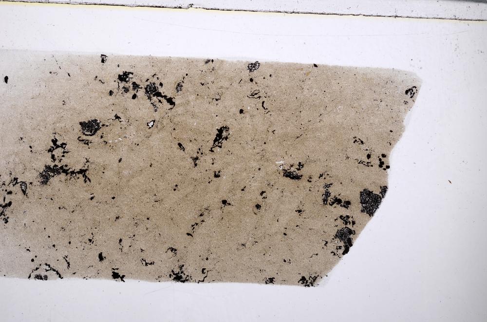 Plane Polarized, E54757