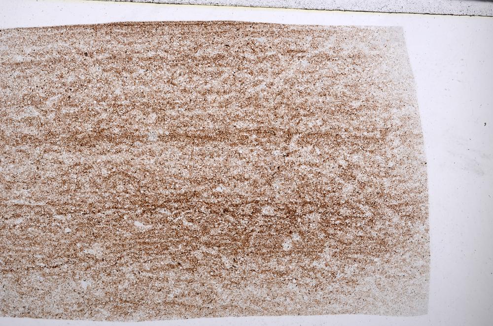 Plane Polarized, E54861