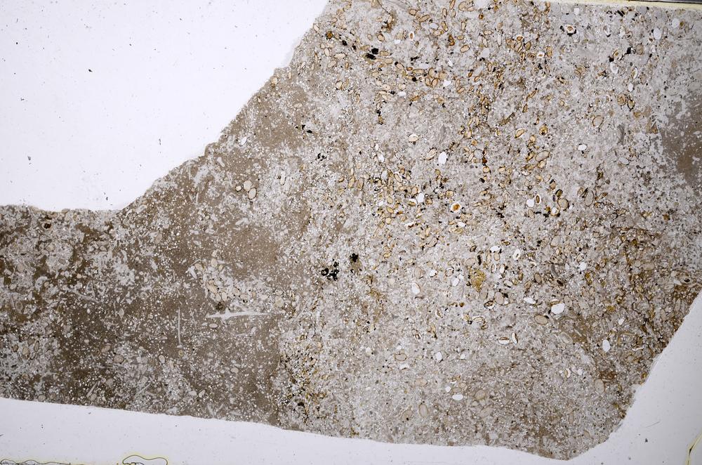 Plane Polarized, E54874