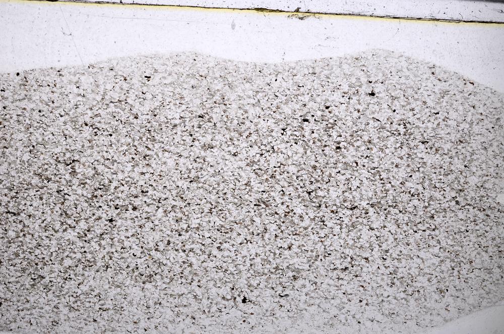 Plane Polarized, E54977