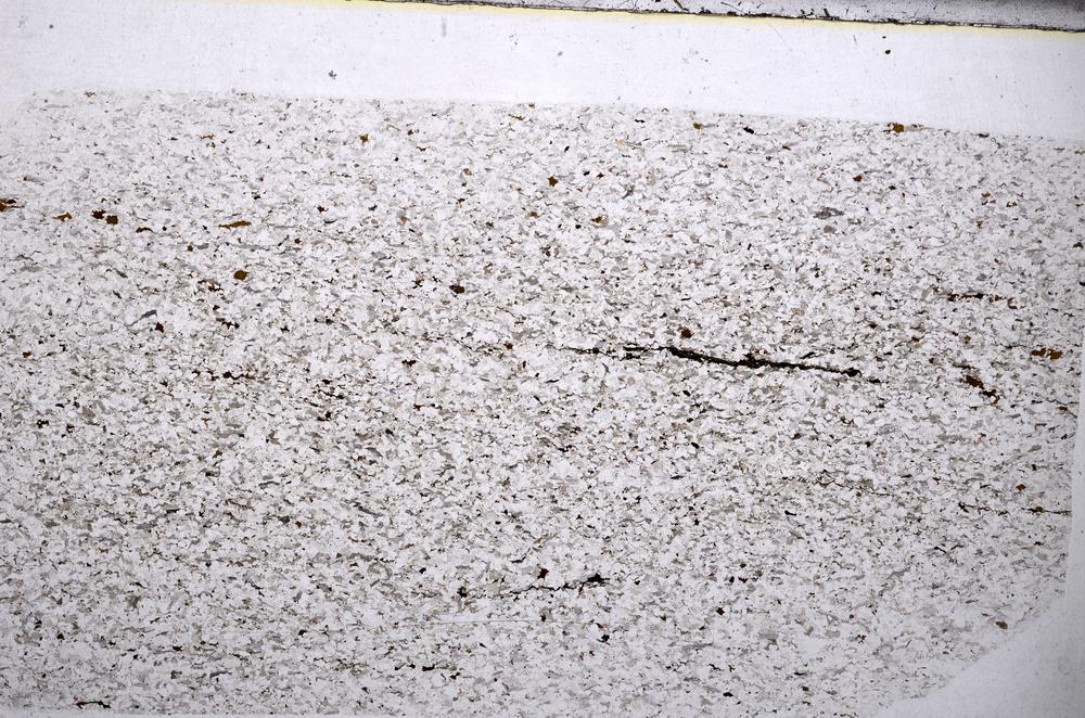 Plane Polarized, E54981