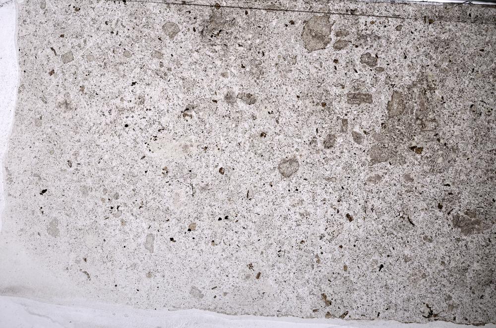 Plane Polarized, E55051