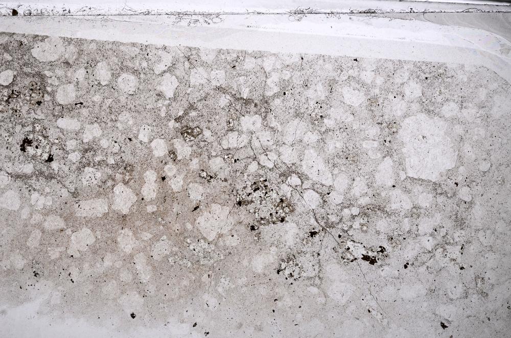 Plane Polarized, E55099