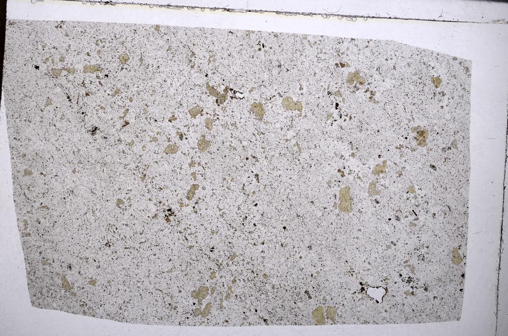 Plane Polarized, E55242