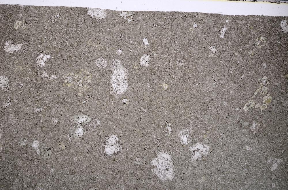 Plane Polarized, E55272