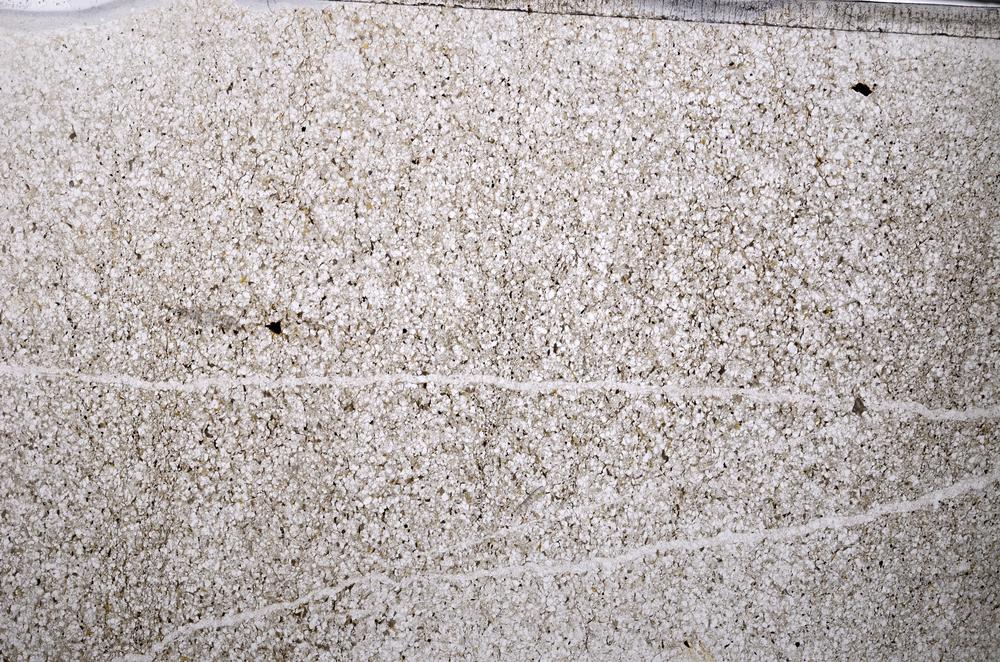 Plane Polarized, E55397