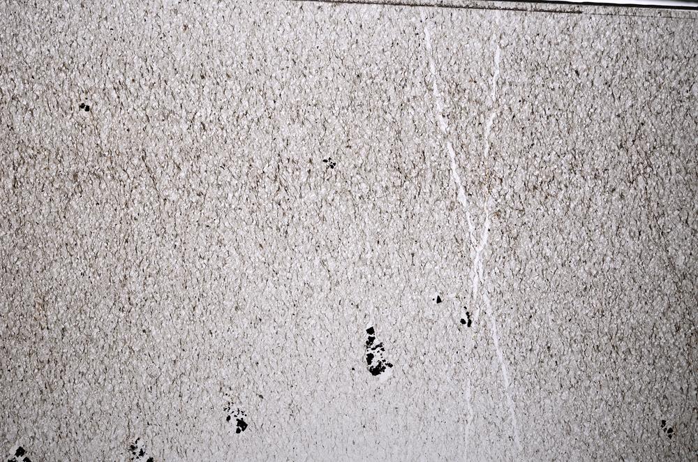 Plane Polarized, E55401/B