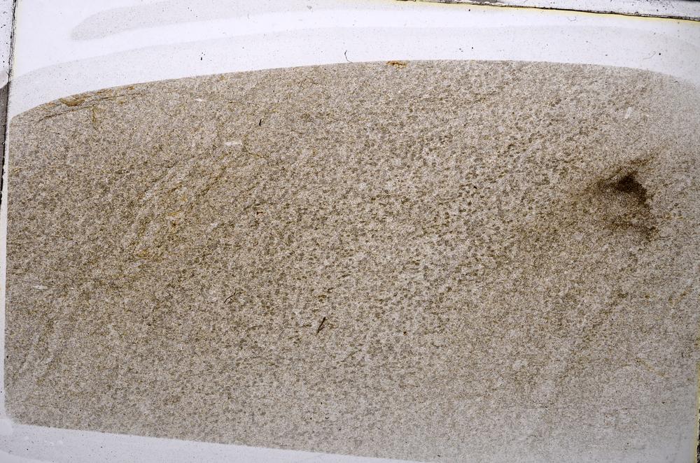 Plane Polarized, E55536