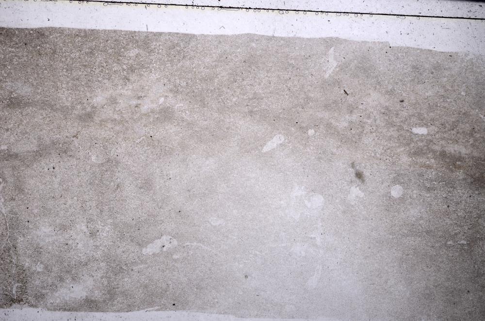 Plane Polarized, E56423