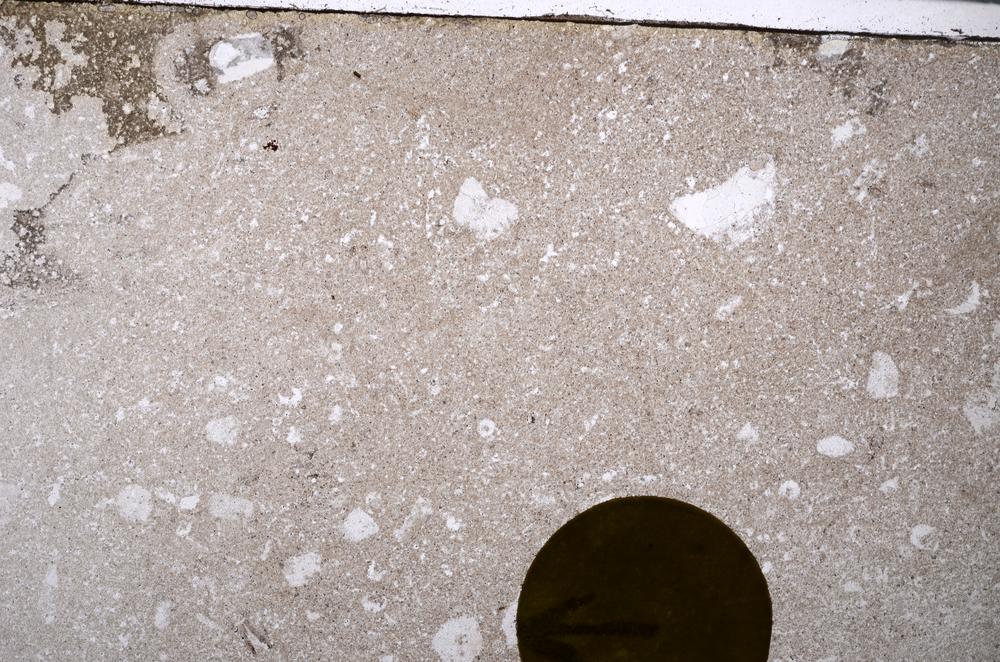 Plane Polarized, E56462/A