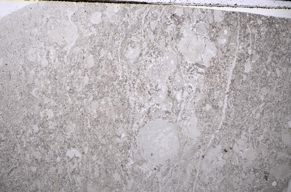 Plane Polarized, E56464