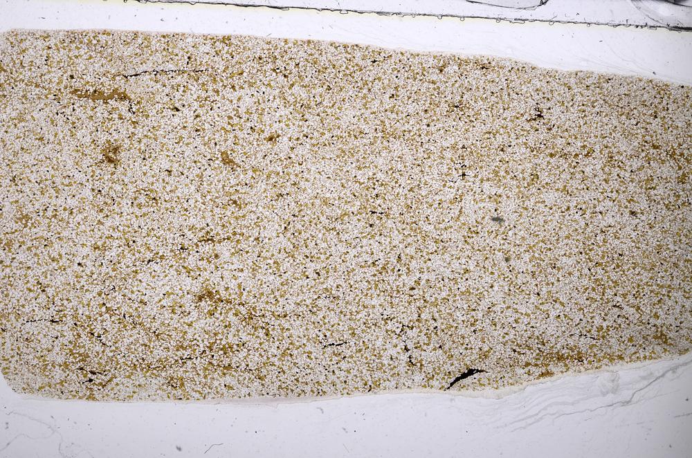 Plane Polarized, E56939