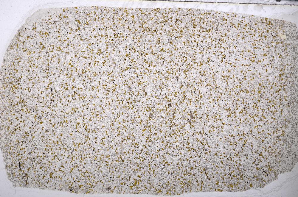 Plane Polarized, E56941