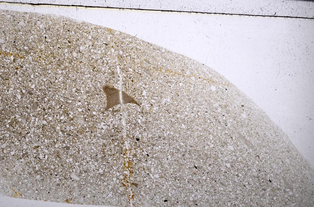 Plane Polarized, E57132