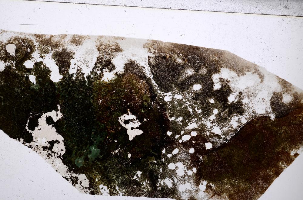 Plane Polarized, E57138