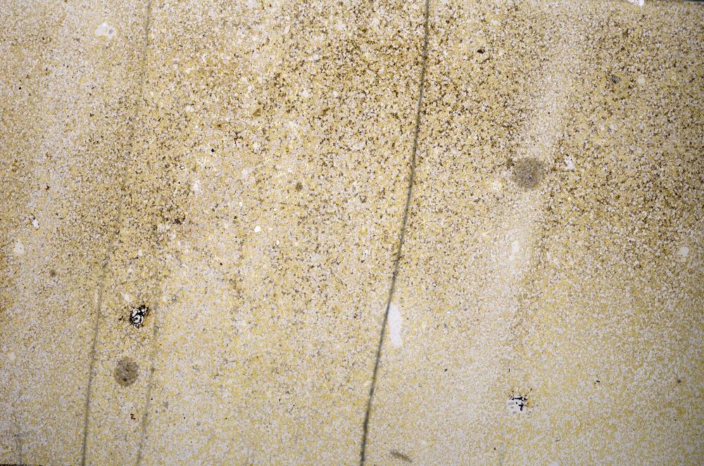 Plane Polarized, E57225