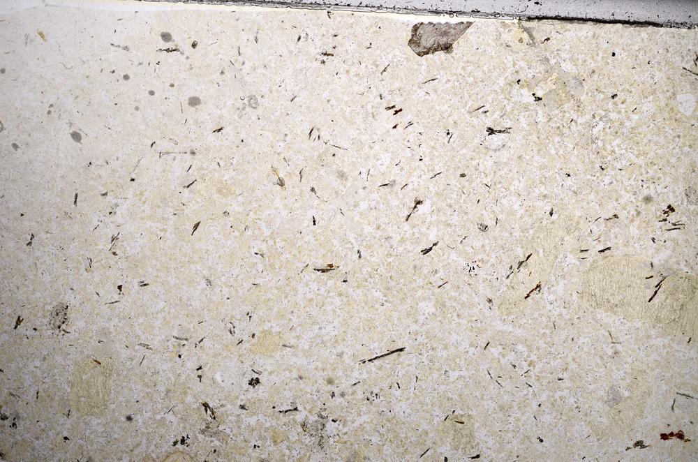 Plane Polarized, E57229